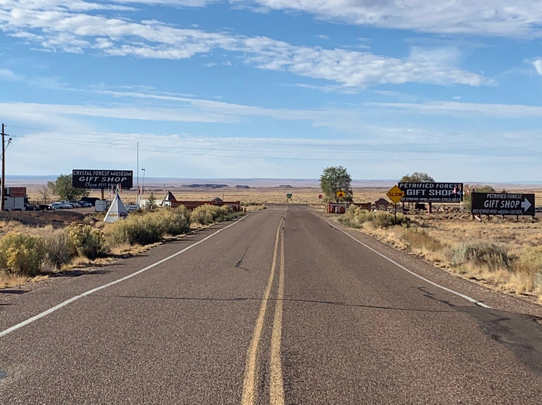 Crystal Forest Museum & Gift Shop-霍尔布鲁克必去景点
