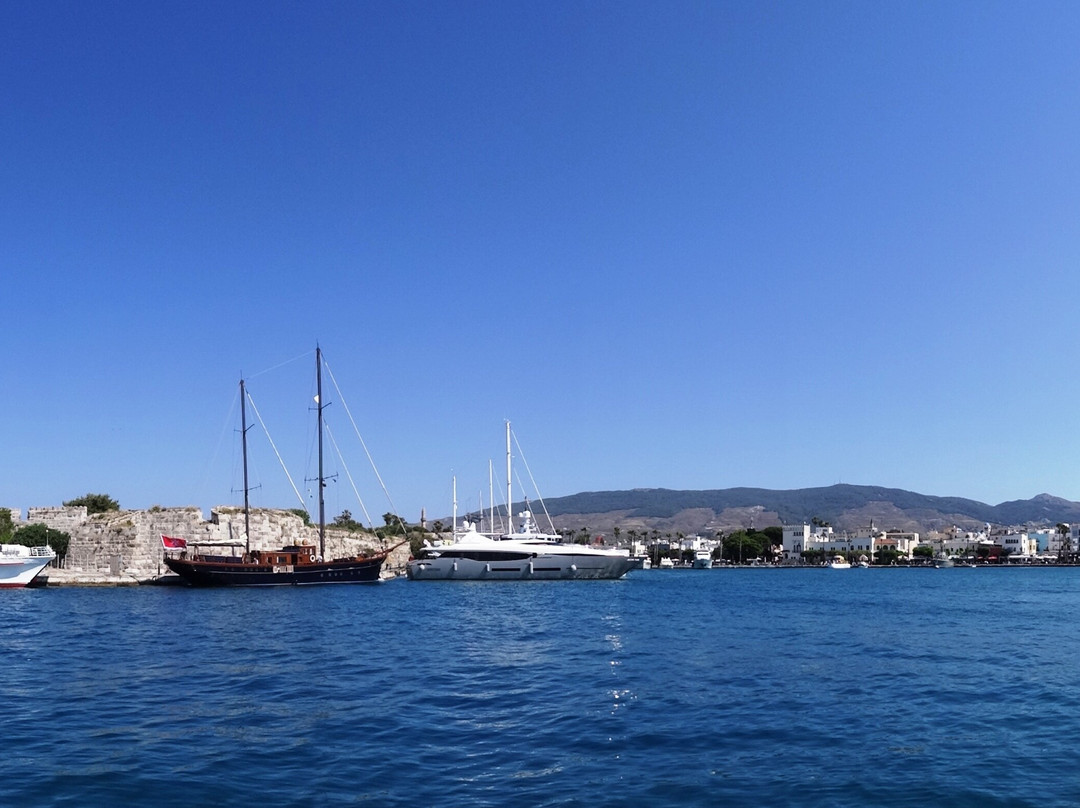 Kos Island Marina-Kos Town必去景点