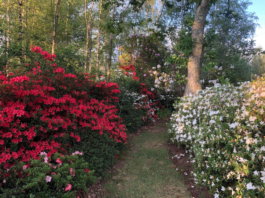 Granny Mouse House主图