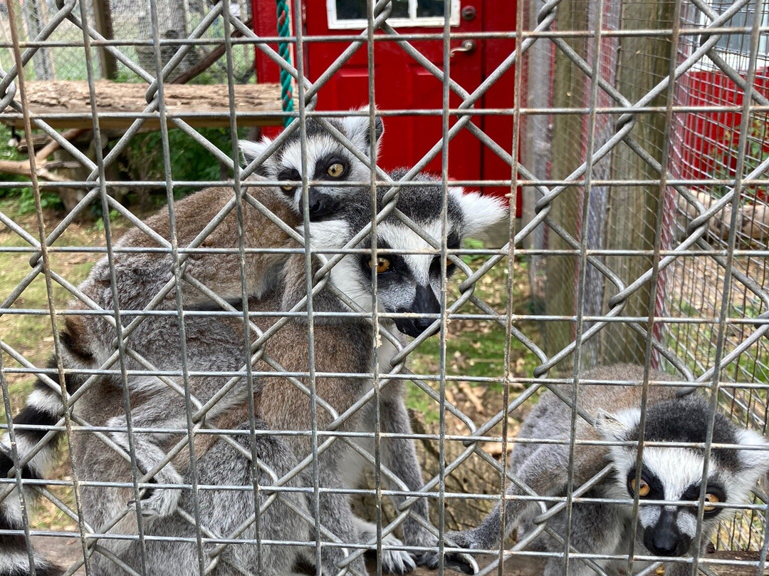 Oshawa Zoo-奥沙瓦必去景点