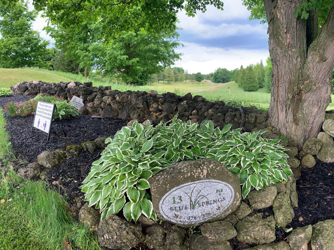 Blue Springs Golf Club景点图片