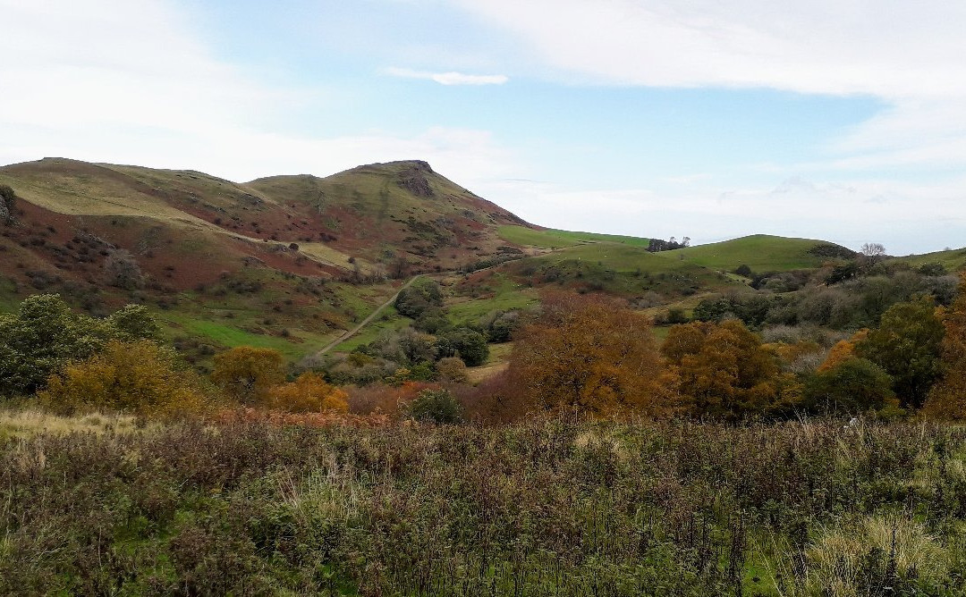 North Hill Farm B&B主图