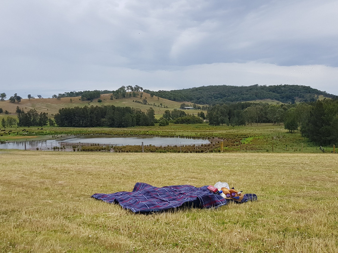 The Barracks Tocal主图