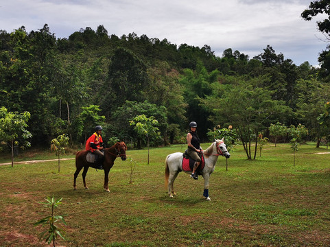 Montana Horse Riding-清迈必去景点