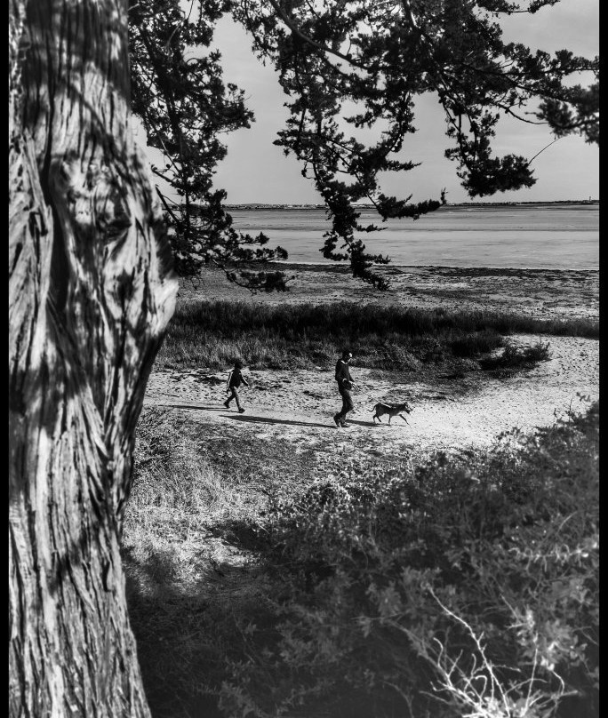 Presqu'ile de Pen Bron-La Turballe必去景点