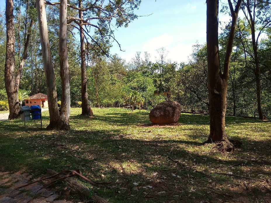 Parque Natural Chico Mendes-索罗卡巴必去景点