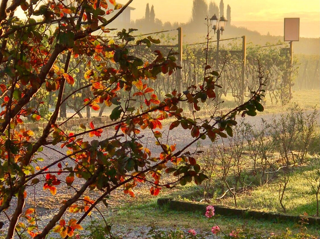 Agriturismo Feliciana主图