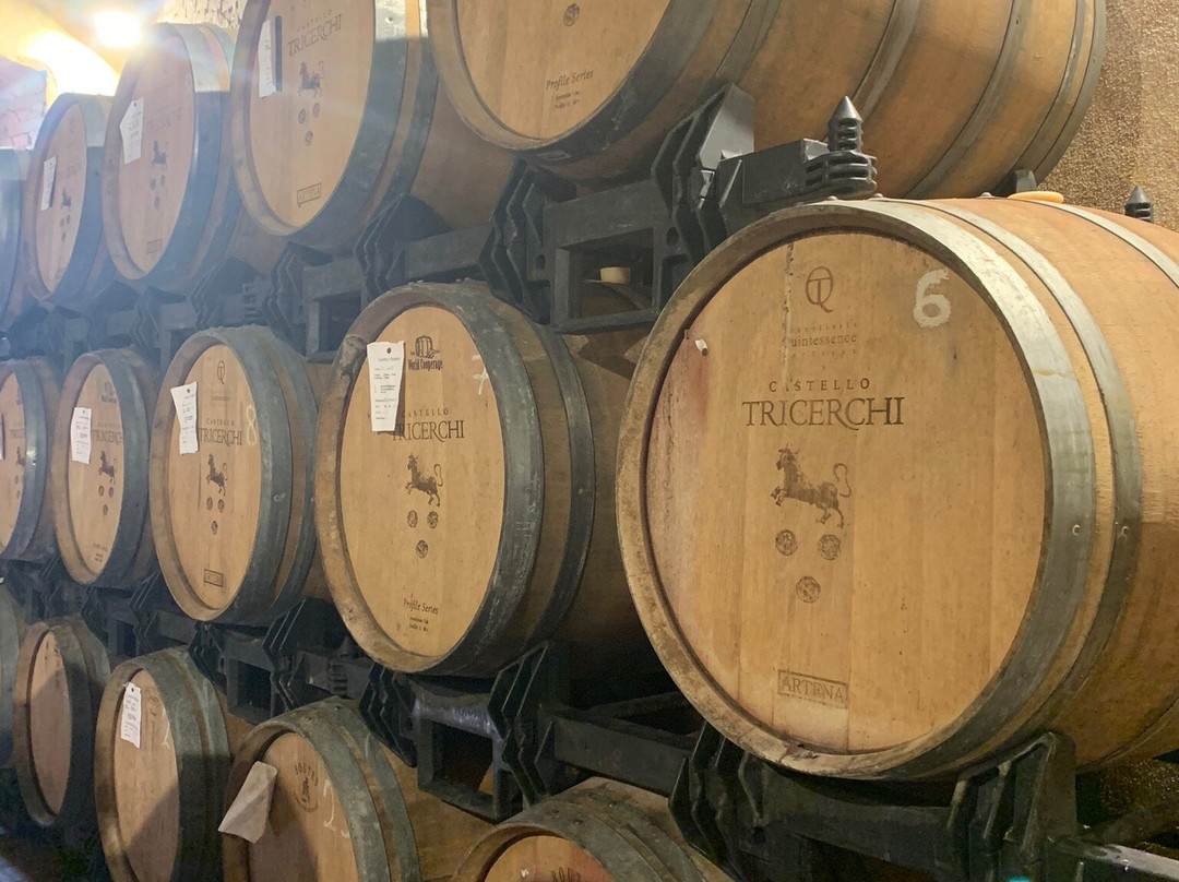 Castello Tricerchi-蒙塔尔奇诺必去景点