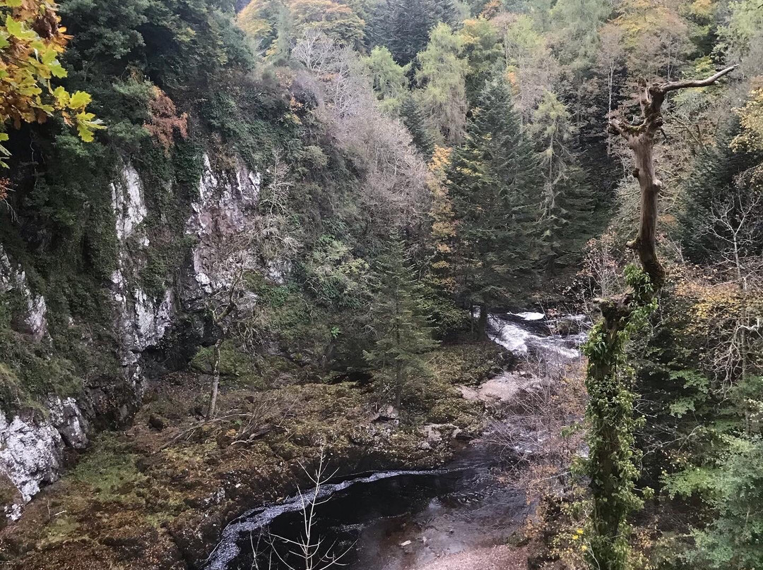 Reekie Linn-Kirriemuir必去景点