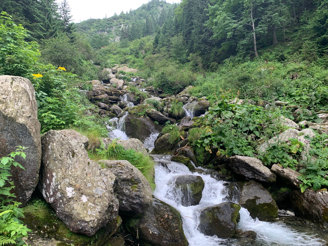 Balea Waterfall-Cartisoara必去景点