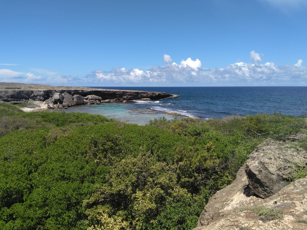 Curacaotrips.com-威廉斯塔德必去景点