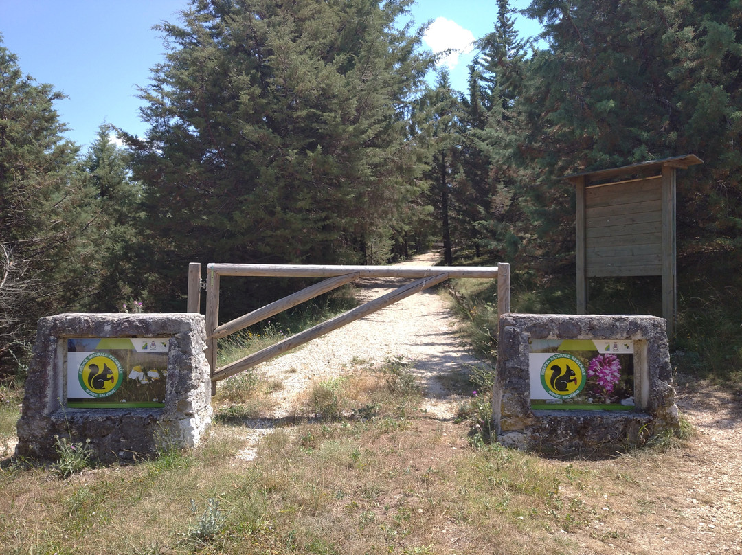 Riserva Naturale Regionale del Monte Salviano-Avezzano必去景点