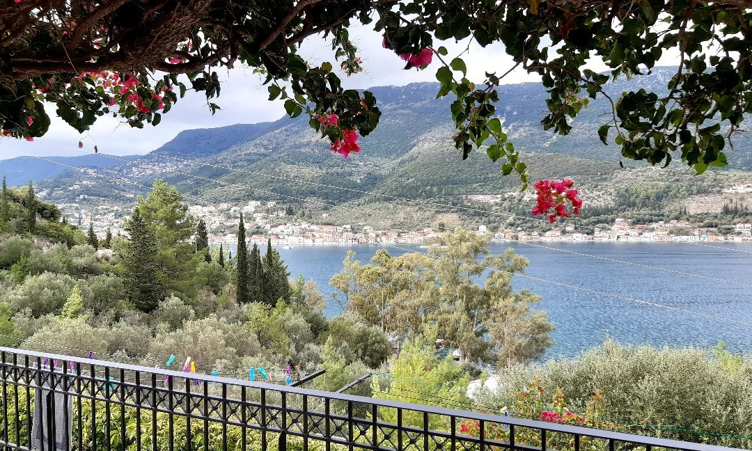 Odyssey Apartments主图