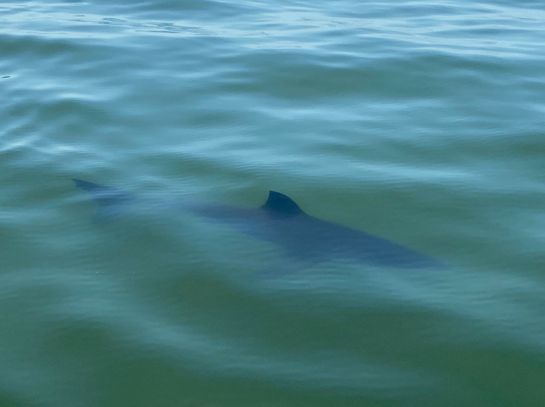 Sea Spirit Ocean Safari (formerly)-圣克鲁斯必去景点