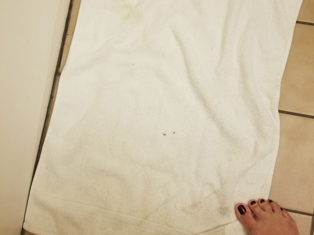 Super 8 by Wyndham Columbia East主图