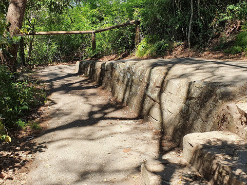 Ocean View Lookout Track