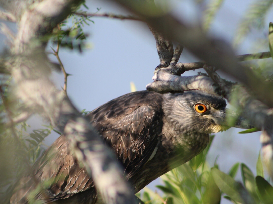 Lighthouse Beach-Port Lavaca必去景点