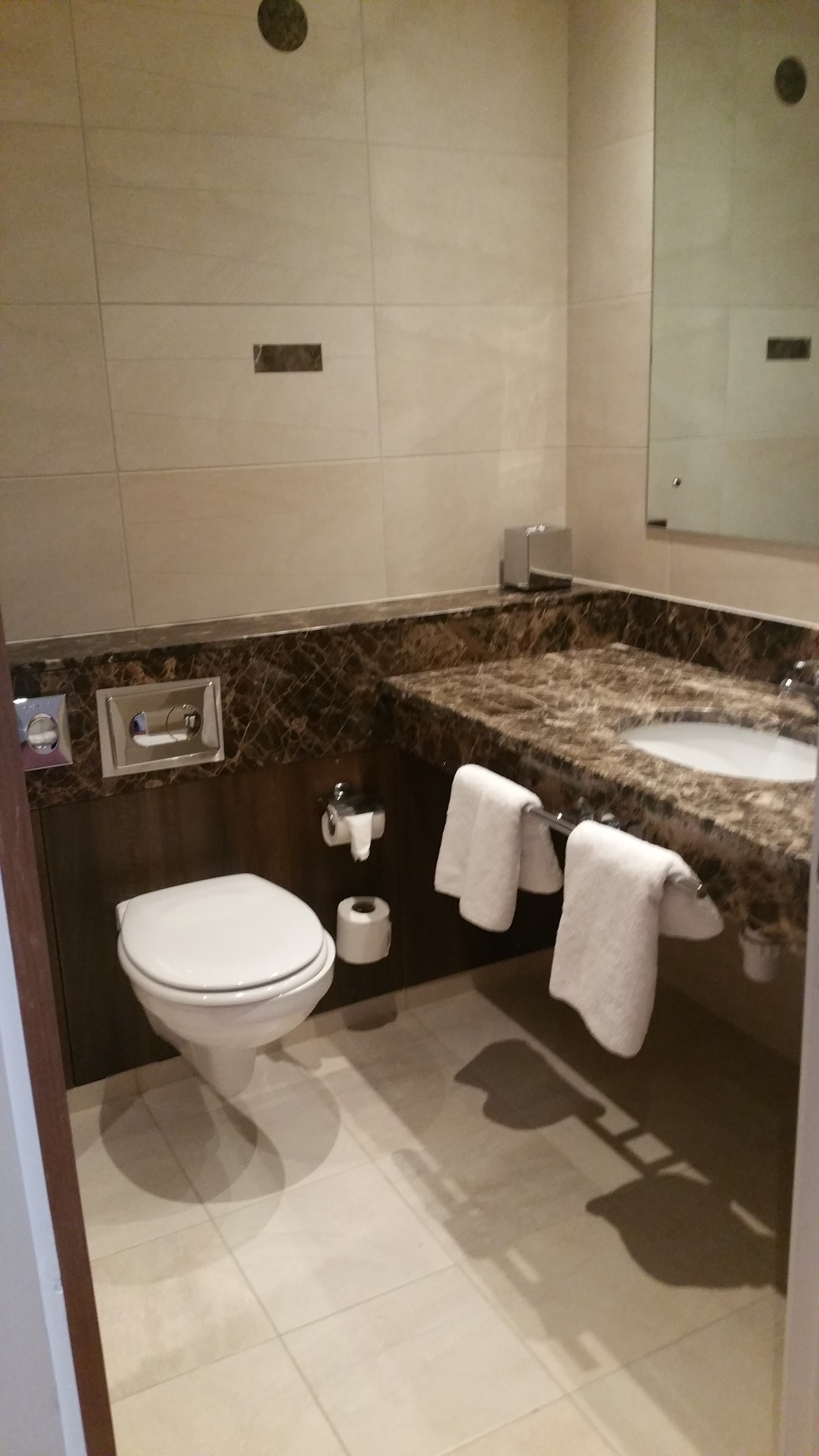 Tallaght Cross Hotel-浴室