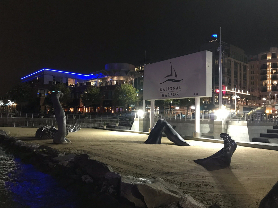 Harborfront Area-国家港口必去景点