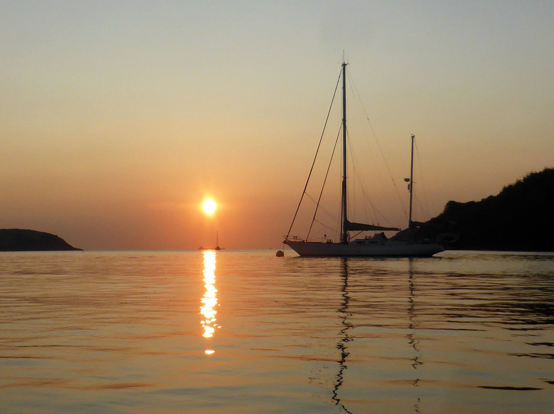 Helford River Boats景点图片