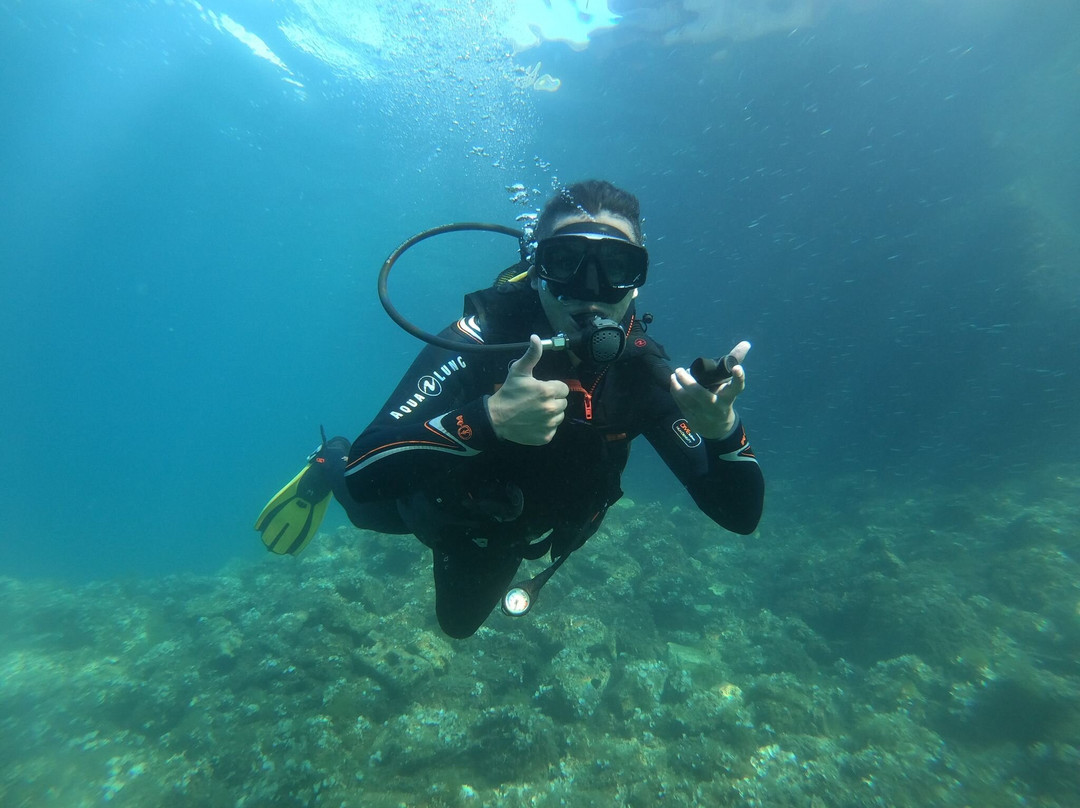 Diving Center Venus景点图片