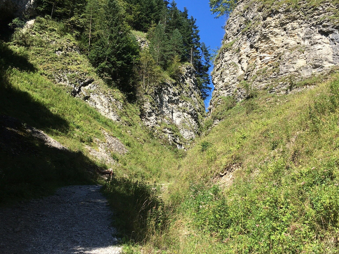 Szopczanski Gorge景点图片
