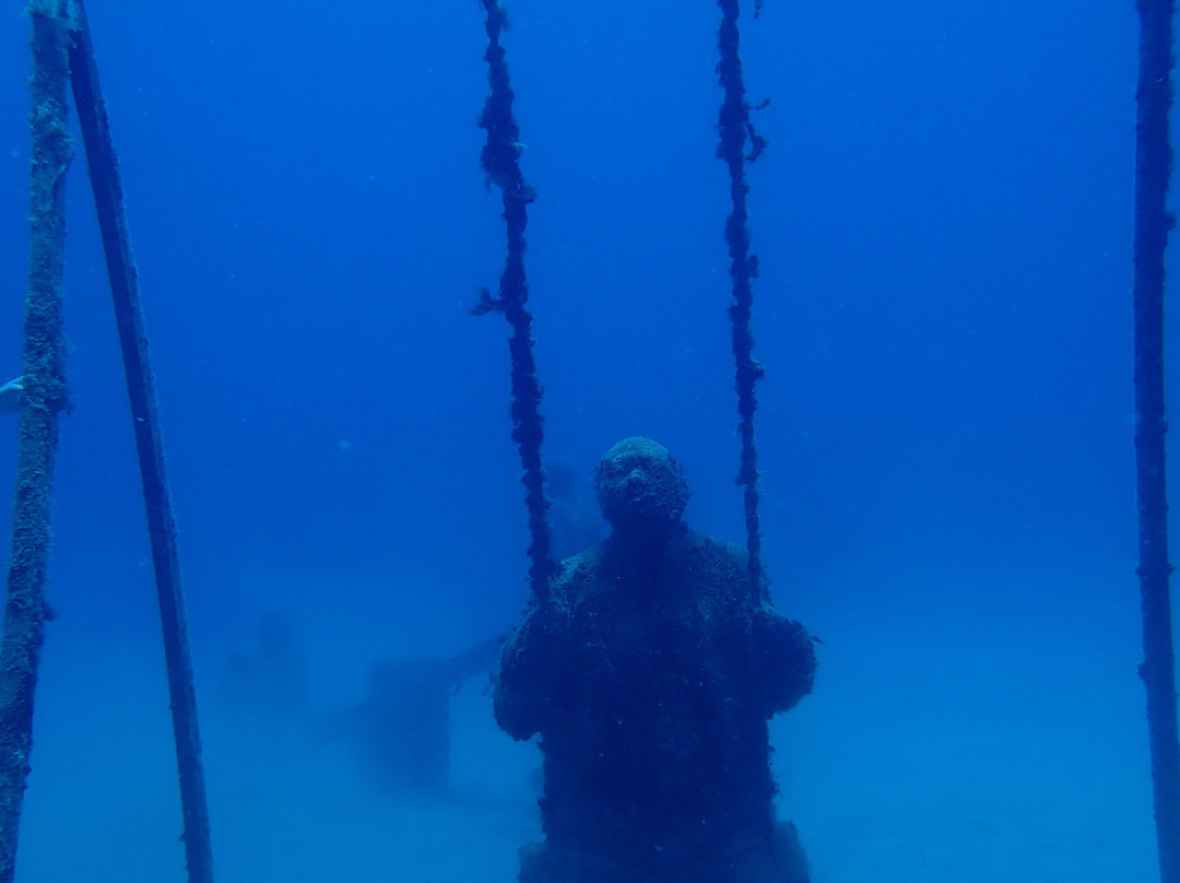 Museo Atlántico Underwater Museum景点图片
