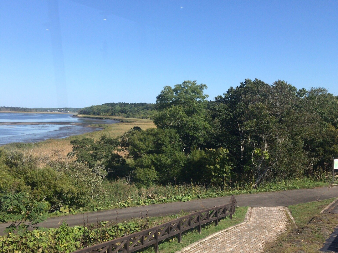 Michi-no-Eki Swan 44 Nemuro-根室市必去景点