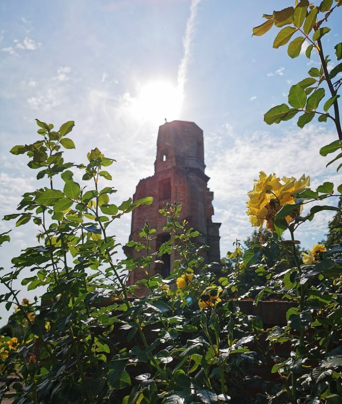 Stiftung Schlosspark Pansevitz景点图片