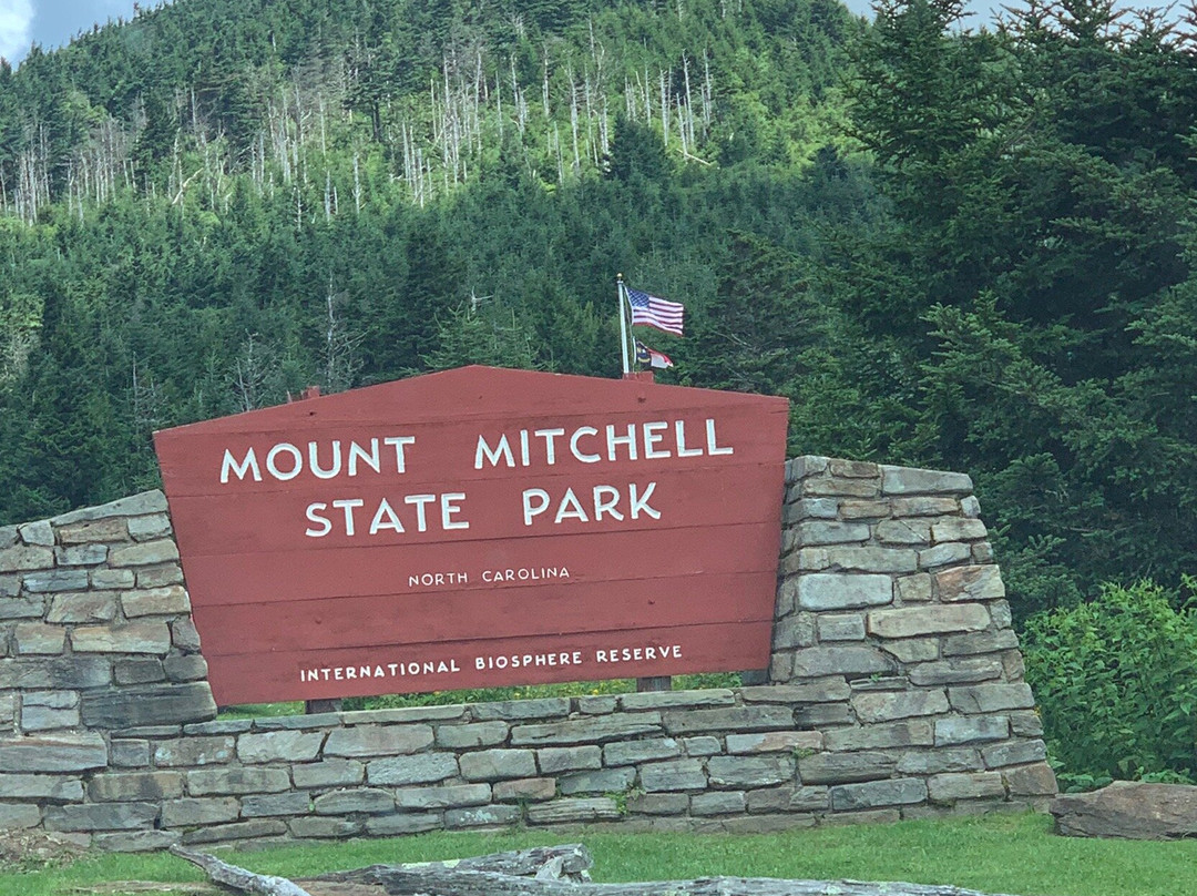 Mount Mitchell State Park景点图片