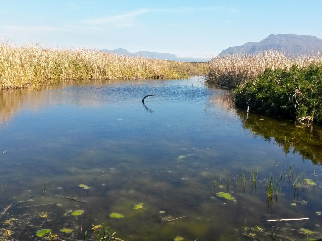 Rondevlei Nature Reserve-开普敦中心区必去景点