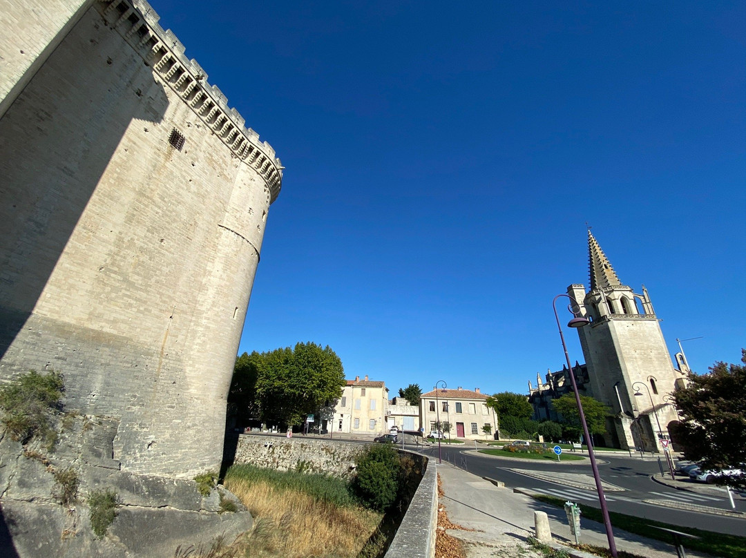 Collegiale Ste-Marthe景点图片