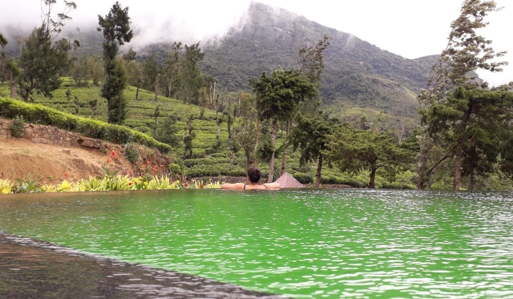 Tea and Experience Factory - Thema Collection主图