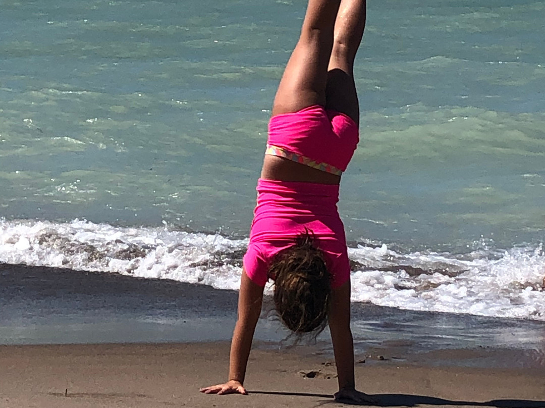 Oakwood Resort主图