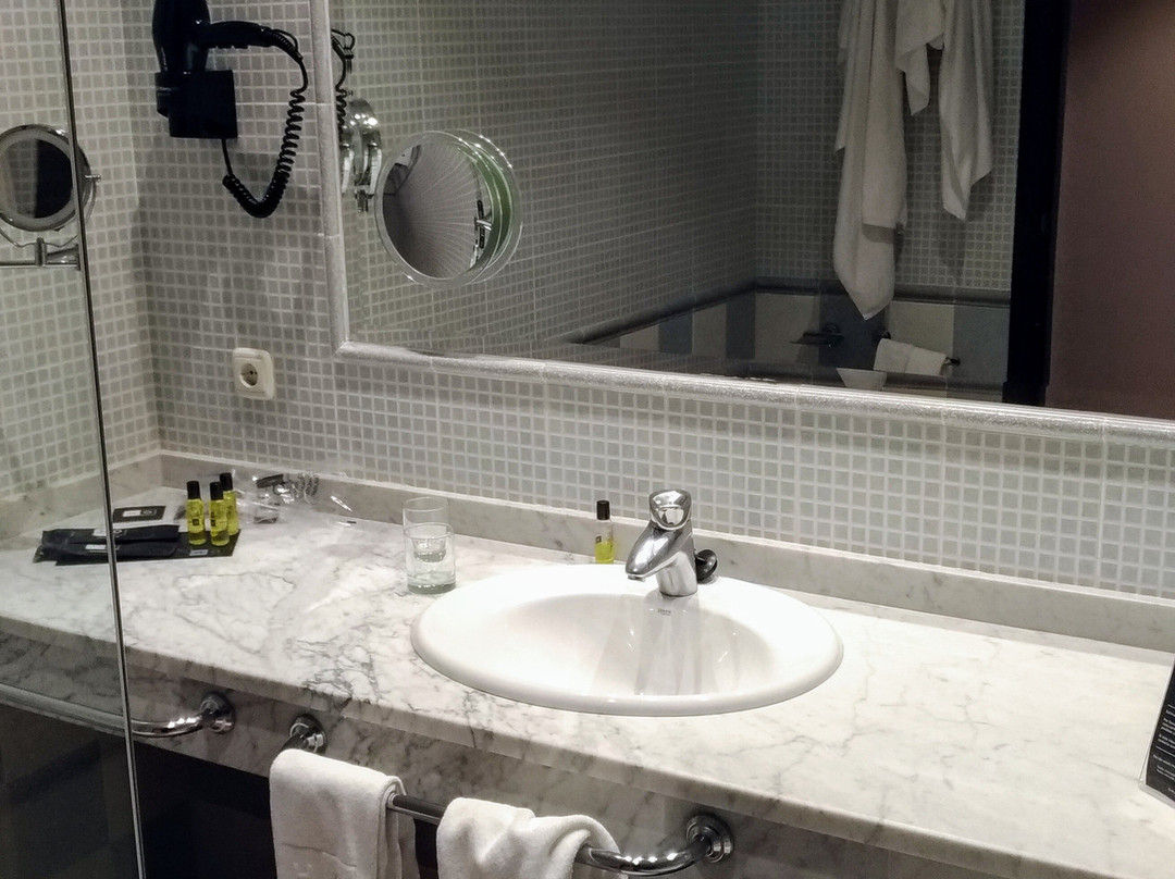 Hotel Ho Ciudad de Jaen主图