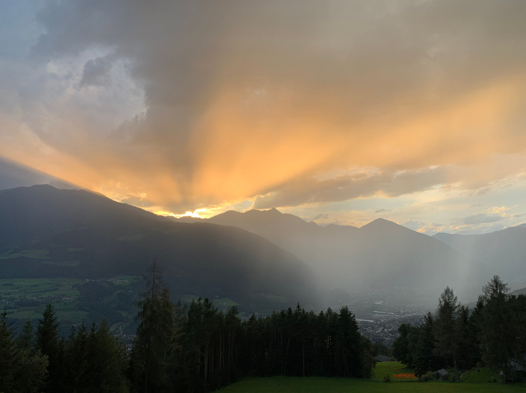 My Arbor - Dolomites主图