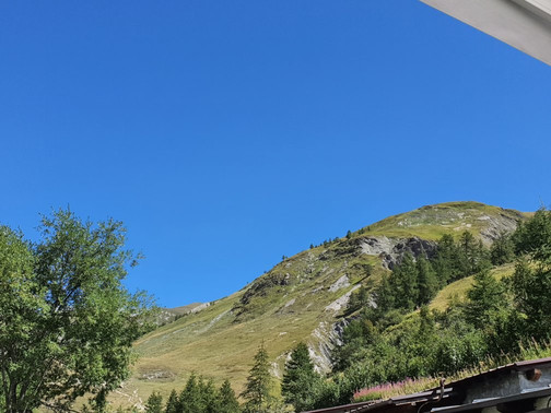 Chalet Val Ferret Restaurant & Hotel主图