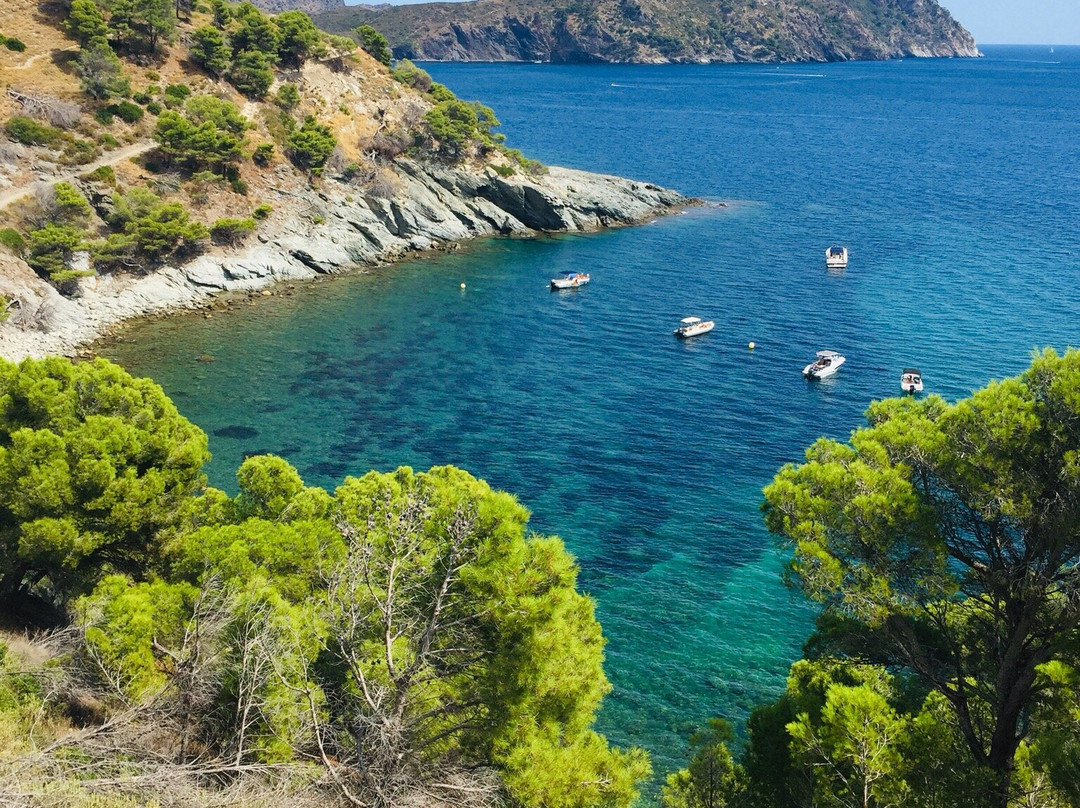 Platja Cala Murtra-罗塞斯必去景点