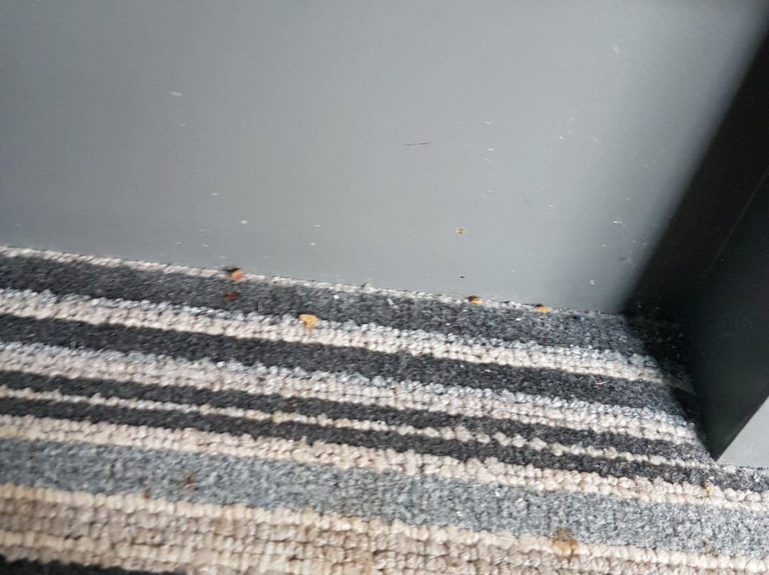 The Oysterfleet Hotel主图