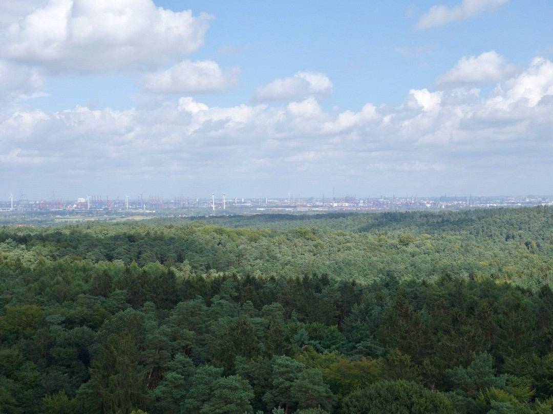 Wildpark Schwarze Berge-罗森加滕必去景点