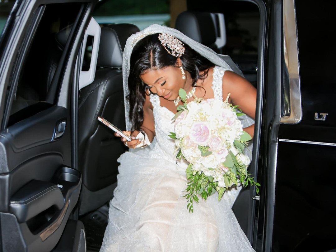 Deluxe Transport Services (VIP)-普罗维登西亚莱斯必去景点