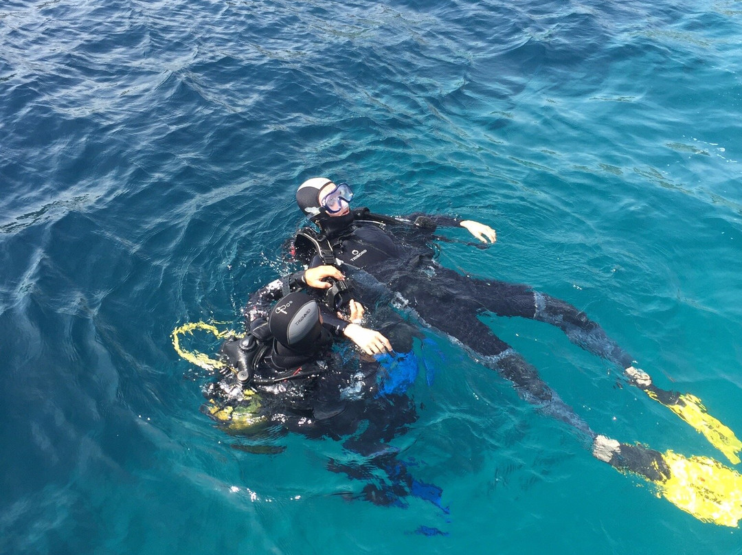 Club Subaquatique de Carry-le-Rouet-Carry-le-Rouet必去景点