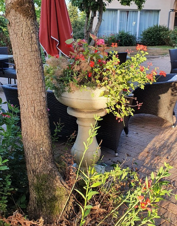 Saulges旅游攻略图片