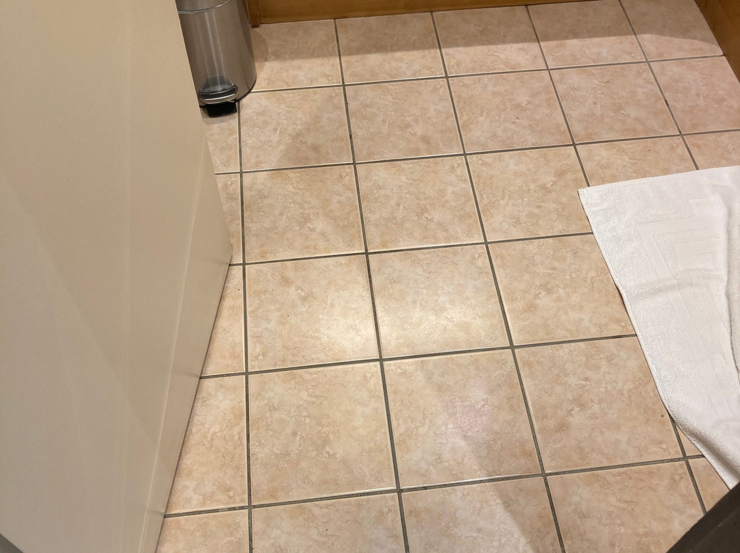 Chalet Hôtel La Chemenaz主图