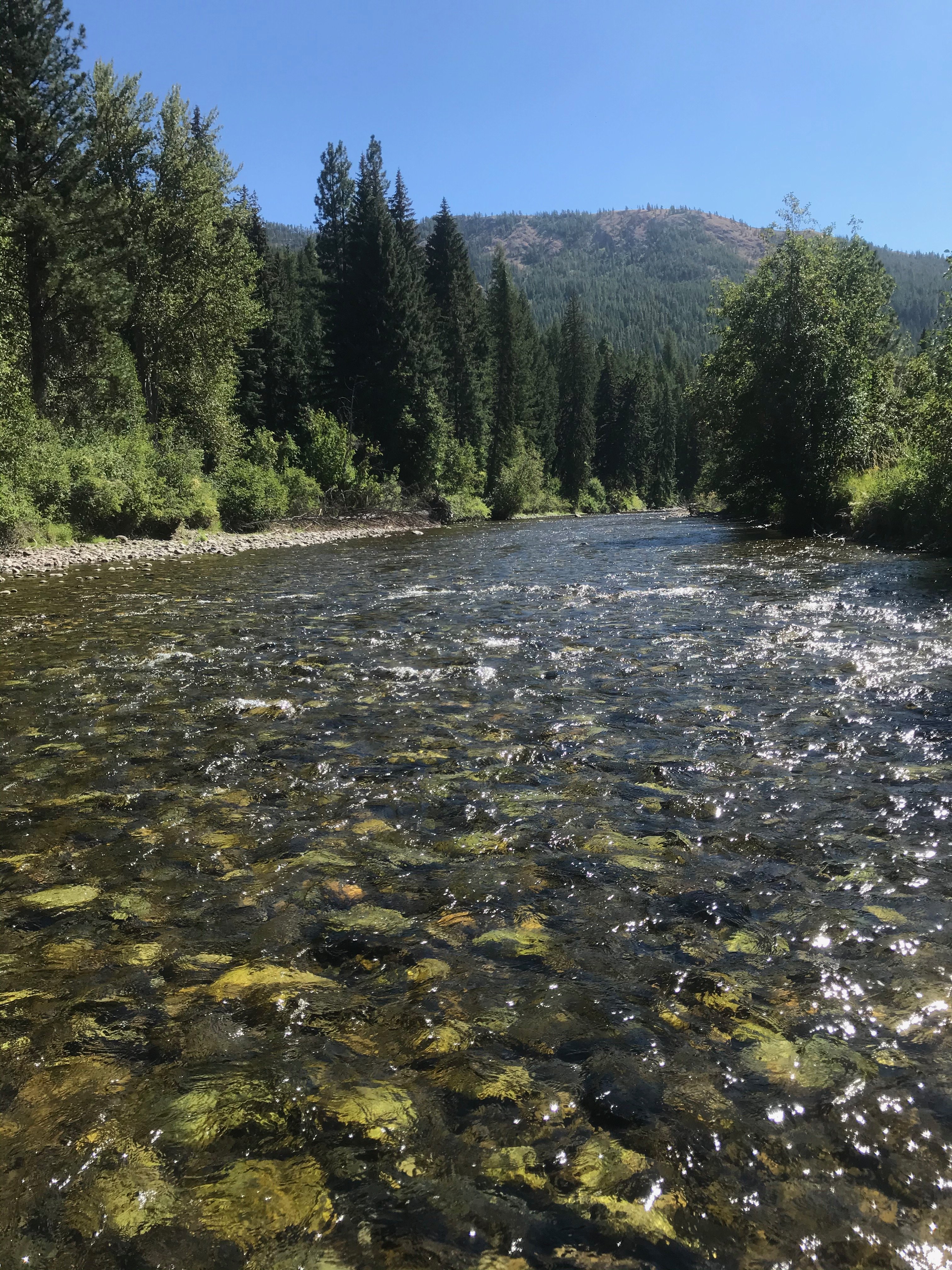 Twisp River Inn-官方