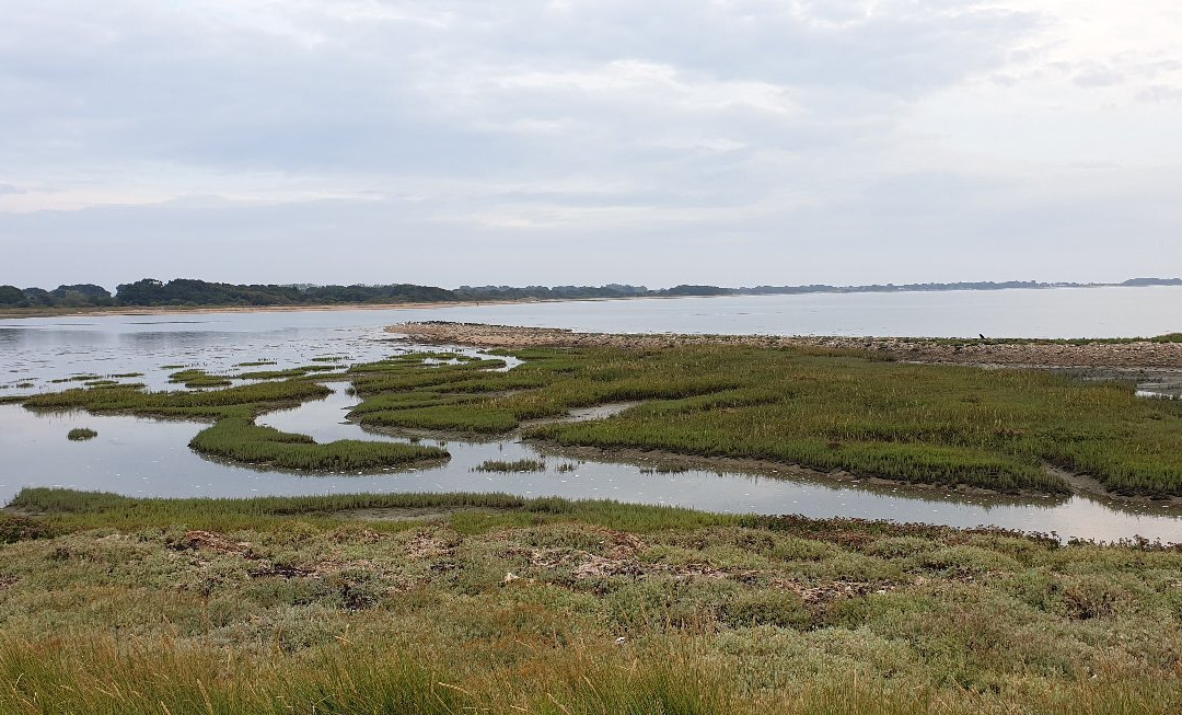 Langstone Harbour景点图片