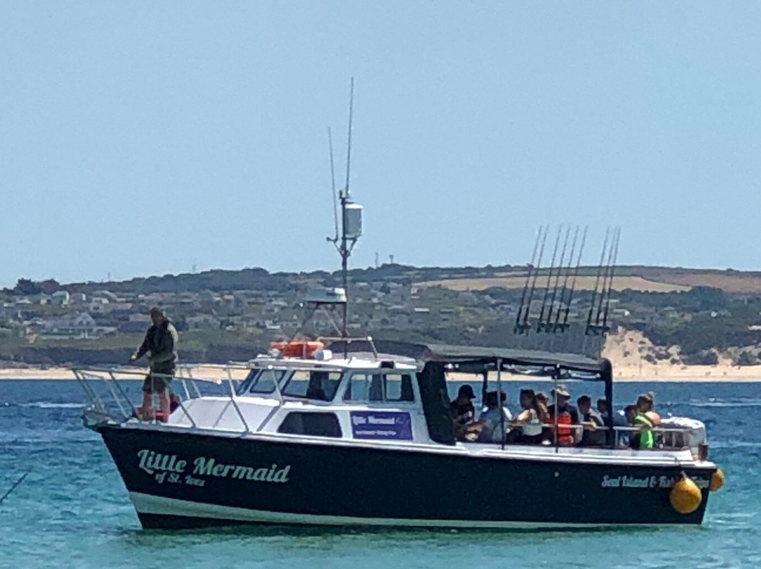 St. Ives Sea Trips-圣艾维斯必去景点