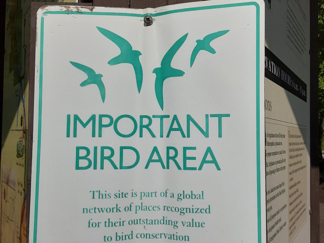 Isaac Lake-米德尔堡海茨必去景点