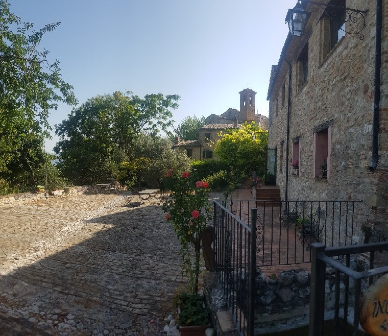 Il Giardino Degli Ulivi主图