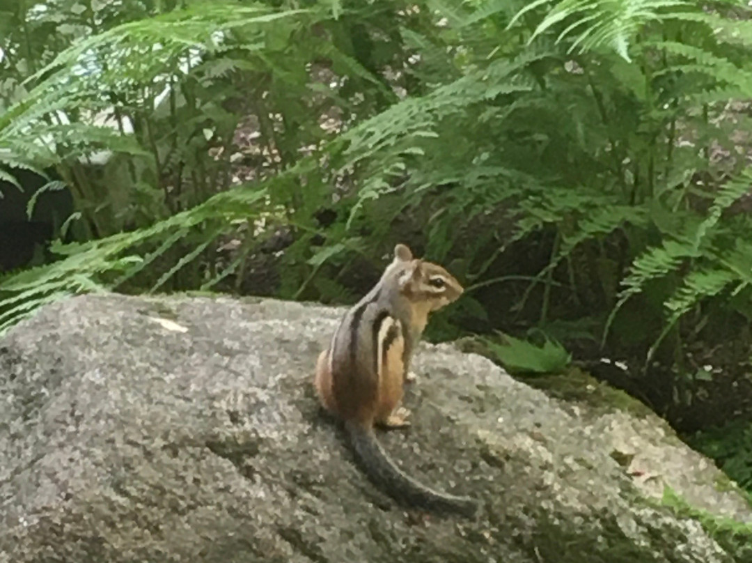 斯夸姆湖酒店主图